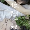 像樹一般