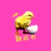 雞拔毛