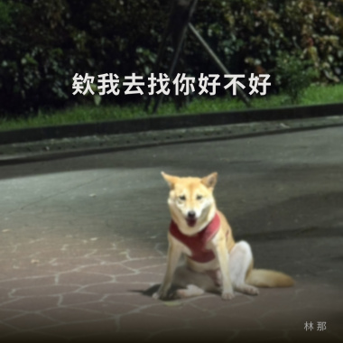欸我去找你好不好