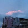 pink99