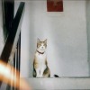 我親愛的你_demo