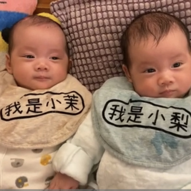 姦男情歌