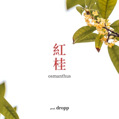 紅桂 / osmanthus