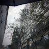 Rain 雨