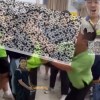 鼻樑斷裂   ft.殆盡主唱、理由嗯