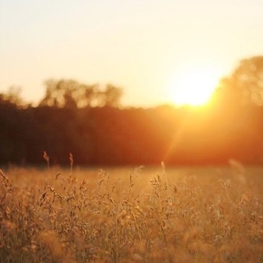 Sun In The Sky