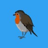 Robin (Acoustic Version)
