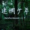 Duintermezzo x C.Y. - 迷惘少年