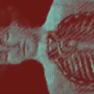 2 魚