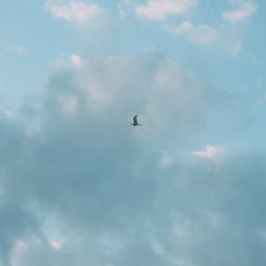 初夏