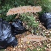 Trimmings