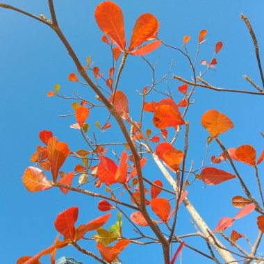 初夏的天空