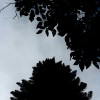 昊天之下 demo