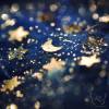 Shooting Stars － Elaine Ng