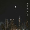 琥珀色信號燈 Amber Light