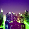 Lost in the neon nights