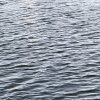 Le hablo al mar (demo)