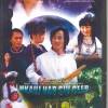 Paj Txiv Duaj Kua Muag Ntshav（桃花开眼泪血） （Relax Mix 4)