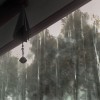 我願成雨