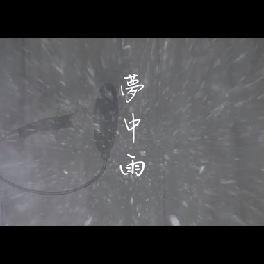 夢中雨