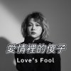 愛情的傻子