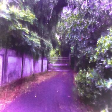 片段一瞬間Entities Peaks