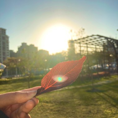 WiThered away記憶博物館