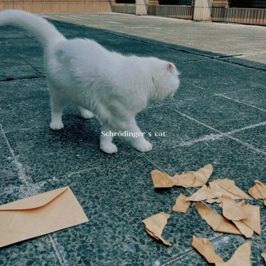 Schrödinger's Cat