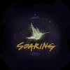 Soaring (南光中學佰拾壹級畢業歌)