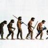 evolution