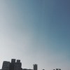 夢裡的玫瑰demo