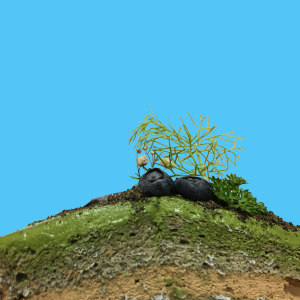 Easy Shen Gang 百齡- 01.intuition 直覺