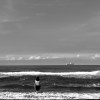 海