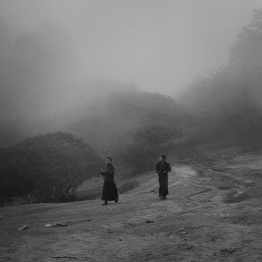 風往哪兒吹