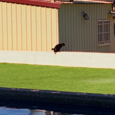 逃（feat.朱杰倫）