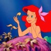 Little Mermaid 🧜‍♀️