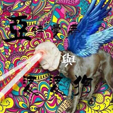 你做夢