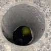 媽媽，我的西洋梨掉進水溝 demo
