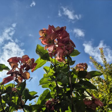 加油加油