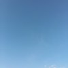 蓝