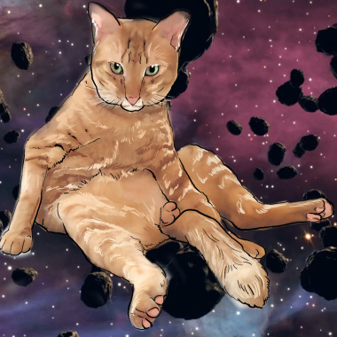 universe cat