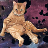 universe cat