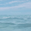I Need to Wait (feat. 畢諾煦)