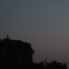 D_27 秘密