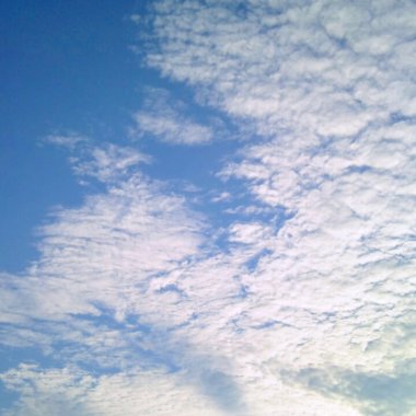 明天妳就要離去 Tomorrow You're Leaving
