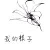 我的樣子