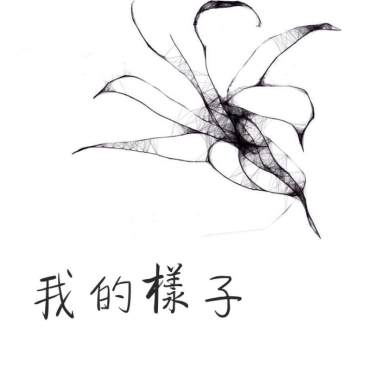 我的樣子