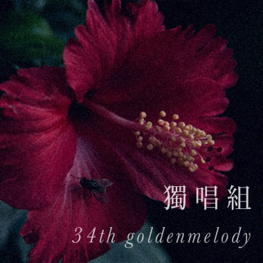34獨唱組_臺北醫學大學_醫學系三年級_廖郁心