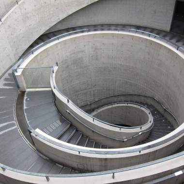 椿