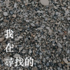我在尋找的